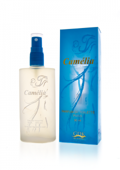 Camelia 
